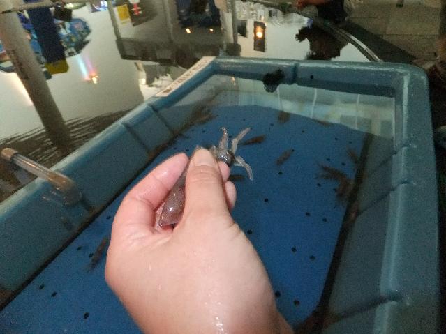 DSCF0039.jpg