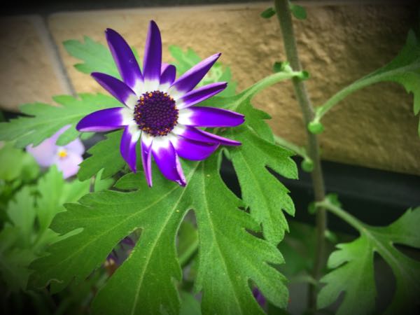 rblog-20160427174731-05.jpg
