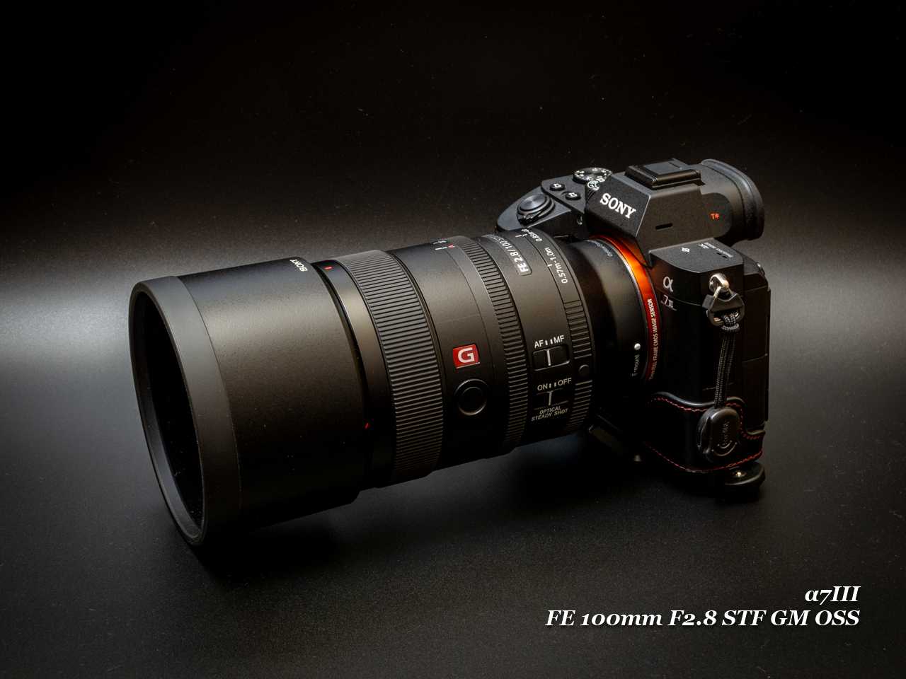 SONY FE100mm F2.8 STF | www.schmetterlinghaus.at