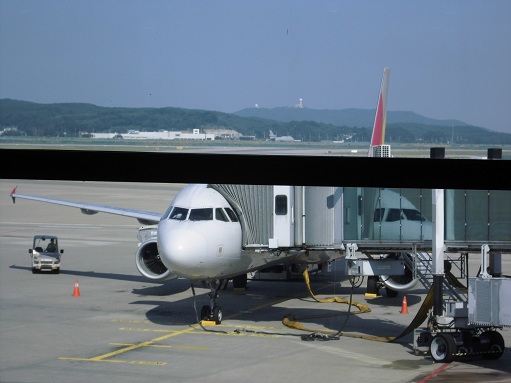 CIMG0261.JPG