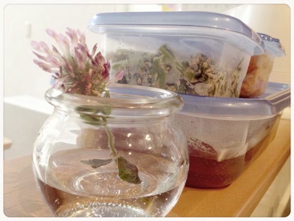 rblog-20140710075947-01.jpg