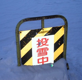 5投雪中.jpg