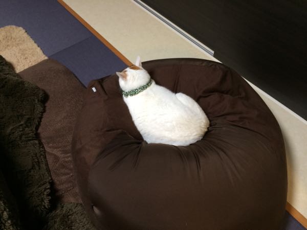 rblog-20150123063020-04.jpg