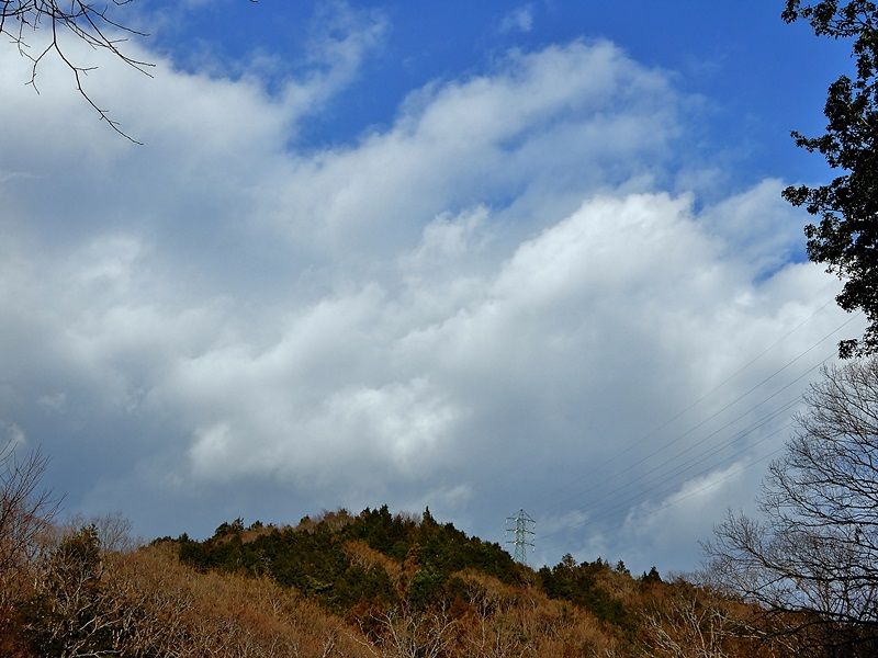 空3