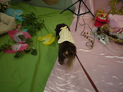 P1010763.JPG