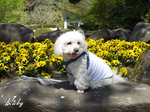 四季の森公園にて