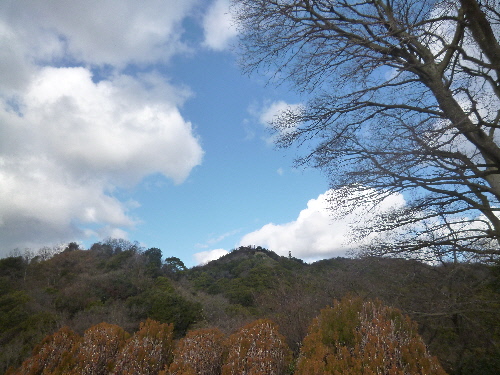 P1140913(1).JPG