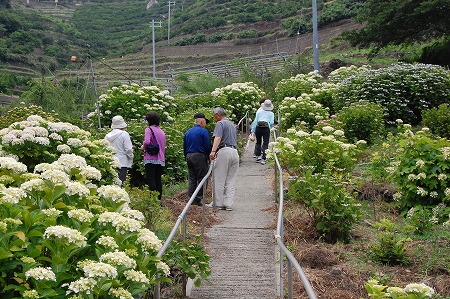s-DSC_0567.jpg