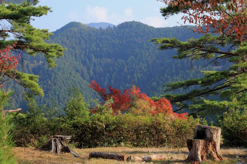 吉野山上千本_005高城山・青根ケ峰.jpg