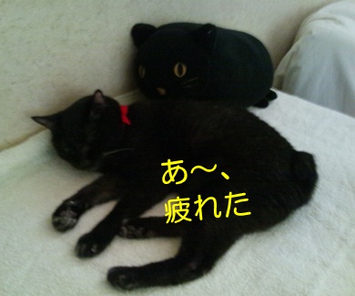 20120910_4.jpg