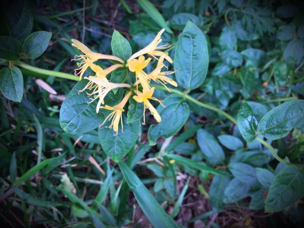 rblog-20160528224442-04.jpg