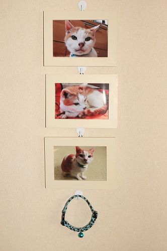 kapu