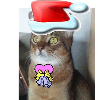 2012クリスマス2