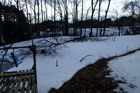 donndenn150118009