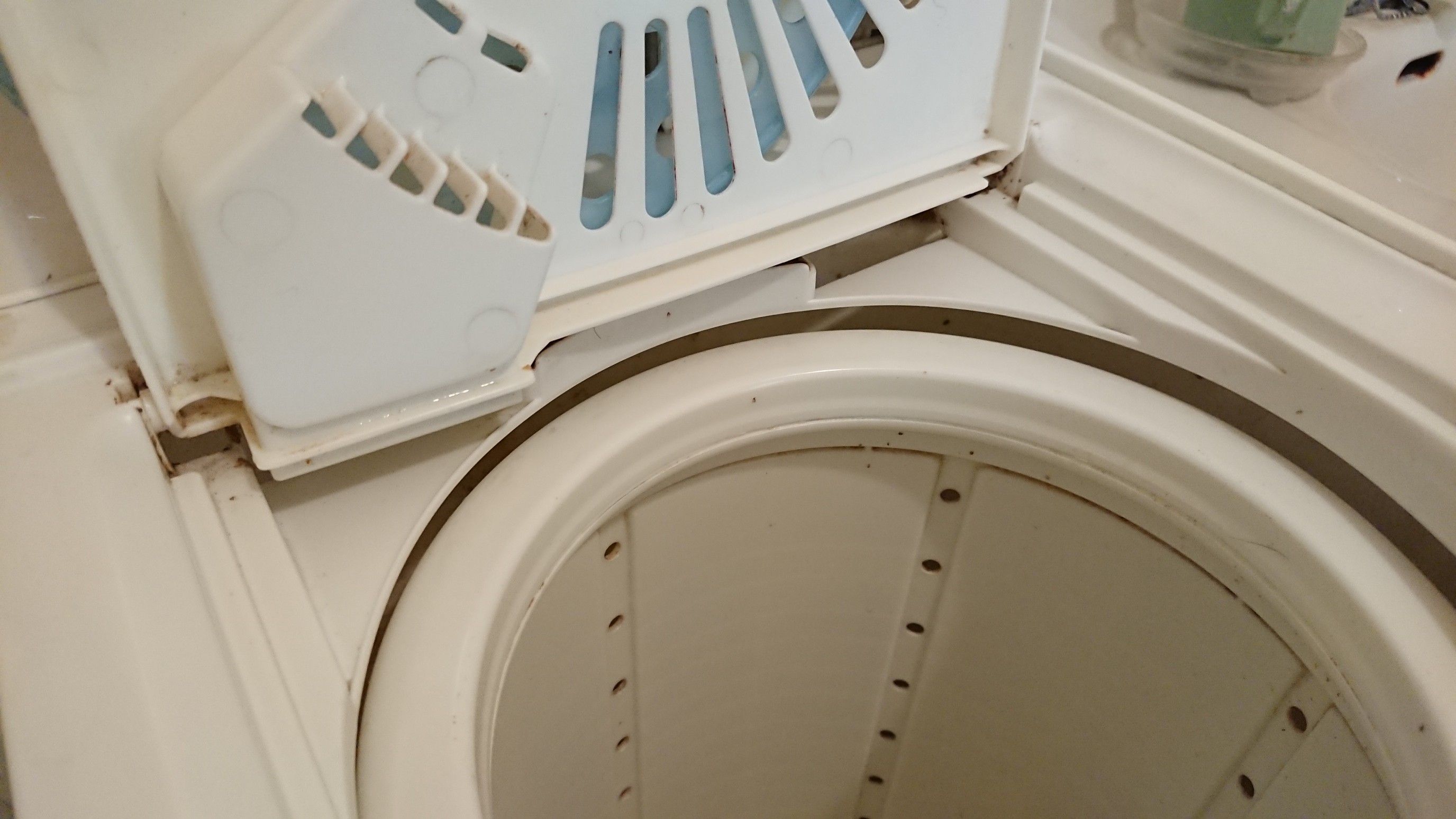 水回り四天王 最初の対戦相手は洗濯機 明日の自分をつくる徒然日記 楽天ブログ