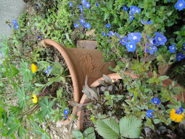 DSC01904.JPG