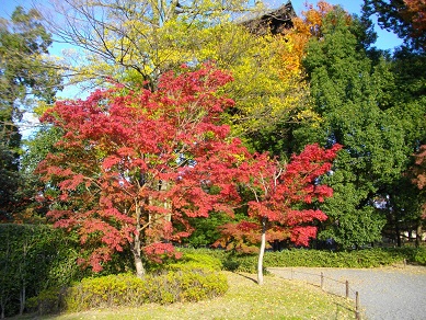 東寺