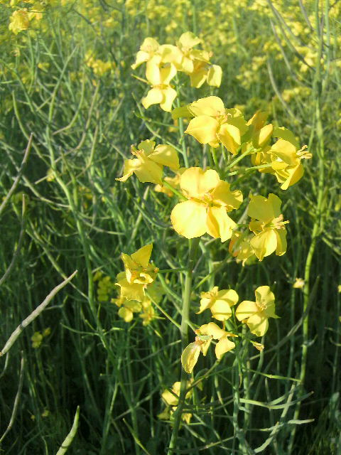 2013061414190000.jpg