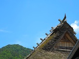IMG_2586.JPG
