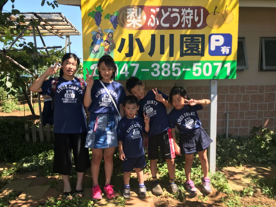 rblog-20180821005201-02.jpg