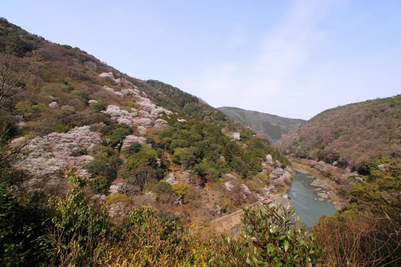 嵐山公園展望台_21-1.jpg