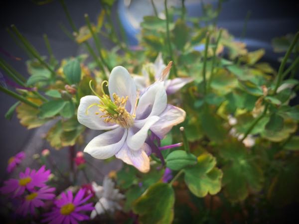 rblog-20160426175049-06.jpg