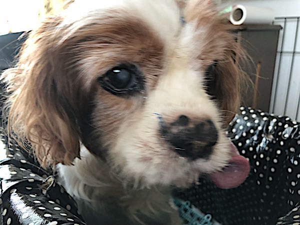 rblog-20180417092540-04.jpg