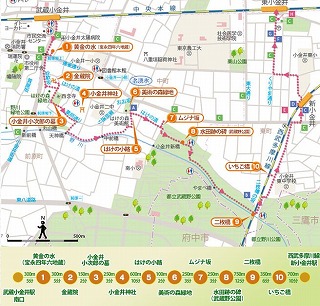 コース.jpg
