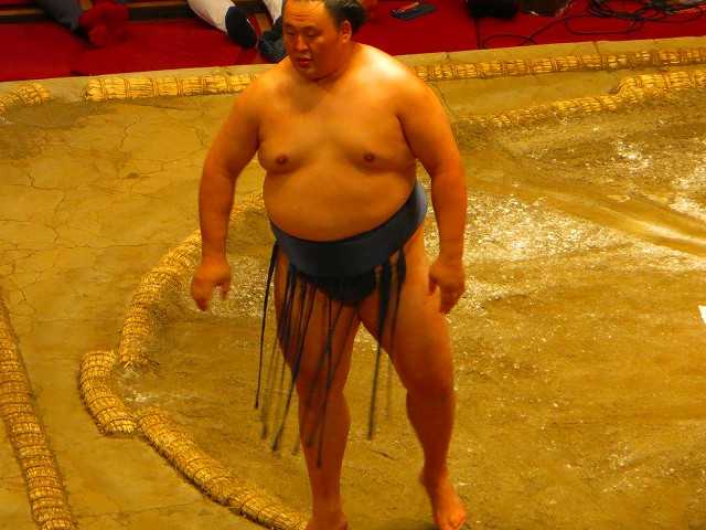 優勝の玉鷲 白鵬のモンゴルグループと交わらない姿勢貫き“鳥取