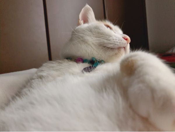 rblog-20180903065533-03.jpg