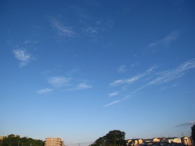 IMG_9284.JPG