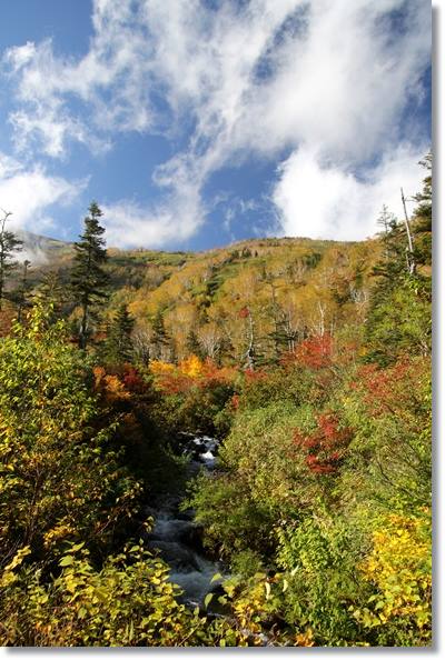 自然園まで-7 15.10.2