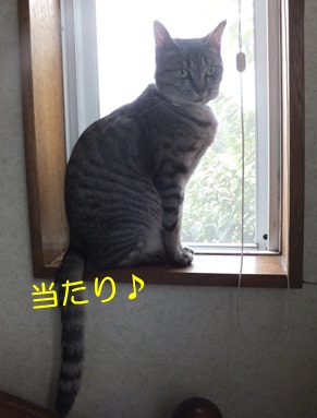 20120924_3.jpg