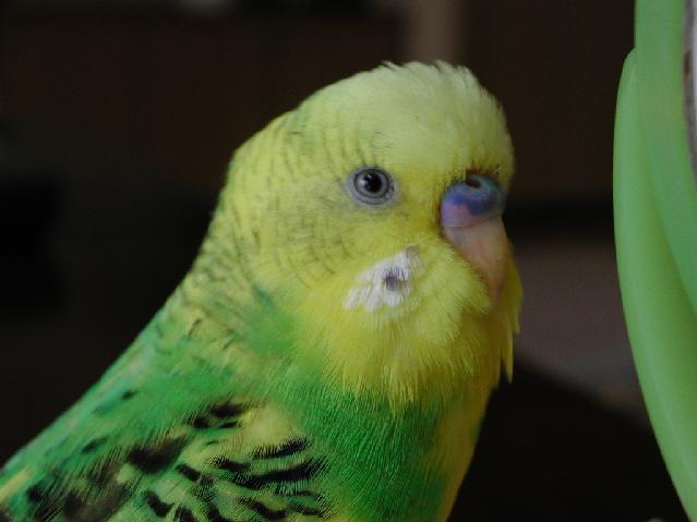 DSCN3590.jpg