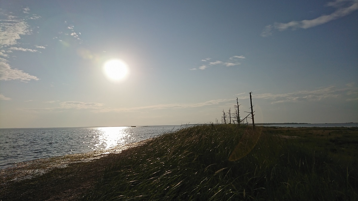 DSC_0539_49.JPG