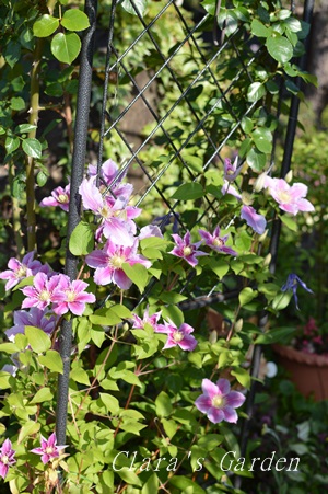 DSC_0036.JPG