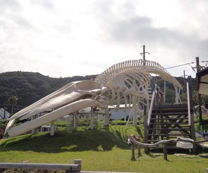 DSC06740 のコピー.jpg
