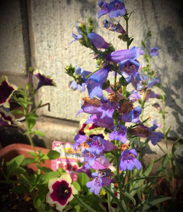 rblog-20160531165029-05.jpg