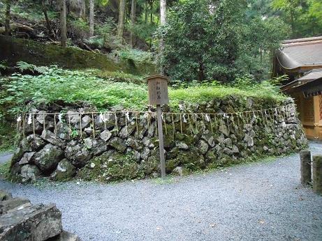 DSCN4676.jpg