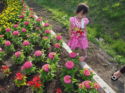 P7180529.jpg