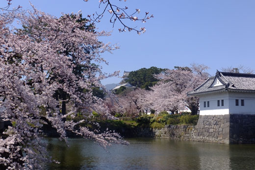 DSCF3222.jpg