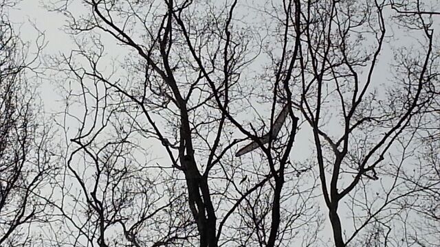 rblog-20141211231952-03.jpg