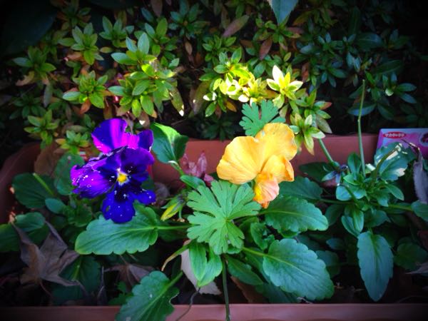 rblog-20141231140627-03.jpg