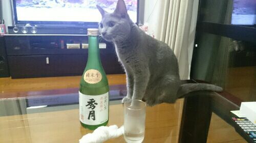 rblog-20170815202614-00.jpg
