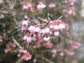 IMG_0615.JPG