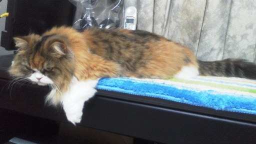 20140519151026.jpg