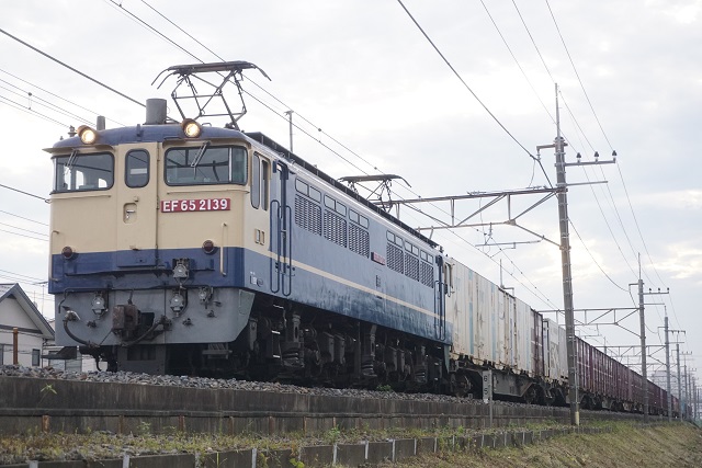 115系 長野+新潟色 大宮入場 & EF65 2139牽引 国鉄色 貨物7