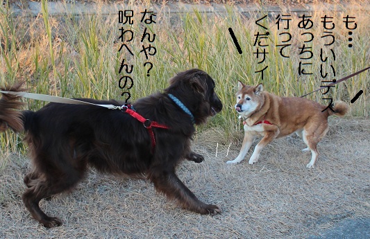 呪い