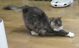 5DA_3352-28.jpg