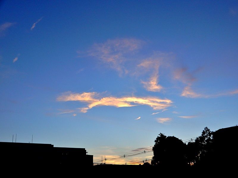 夕暮れ4